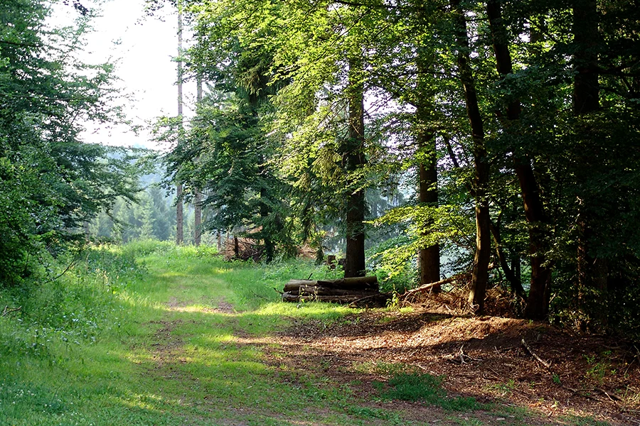 Heidschnuckenhof Schultheis - Ferienhaus in Usch, Eifel